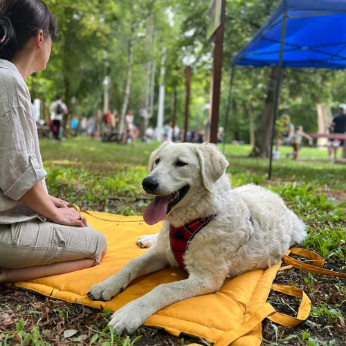 unitadesign.hu - bemutatkozás 1