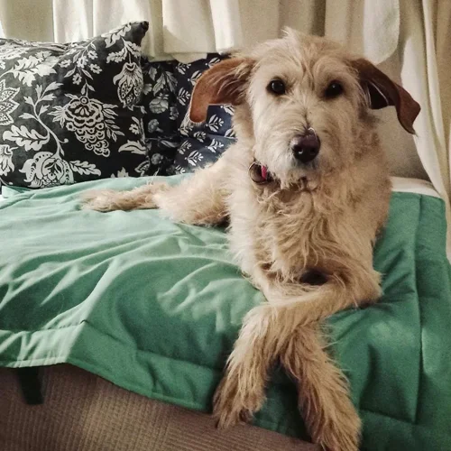 unitadesign.hu - bemutatkozás 2